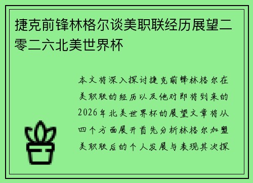 捷克前锋林格尔谈美职联经历展望二零二六北美世界杯